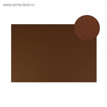 Картон цветной 700х500мм 1 лист Sadipal Fabriano Elle Erre 2-ух стор., 220г/м2, коричневый  1801550