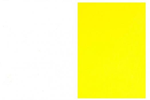 Бумага для оргтехники цветная А4 50л неон, желтая  К-К БЦН-5050