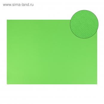 Картон цветной 700х500мм 1 лист Sadipal Fabriano Elle Erre 2-ух ст., 220г/м2, зеленый яркий  1801527