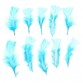 Набор перьев для декора 10шт, 1 шт: 10 × 4 см, цвет голубой  1250936