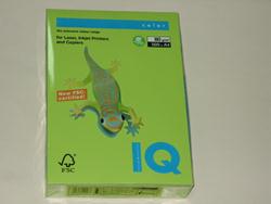 Бумага для оргтехники цветная А4 "IQ Intensive" зеленая липа, 500л., плотность-80гр/м2  LG46 155948